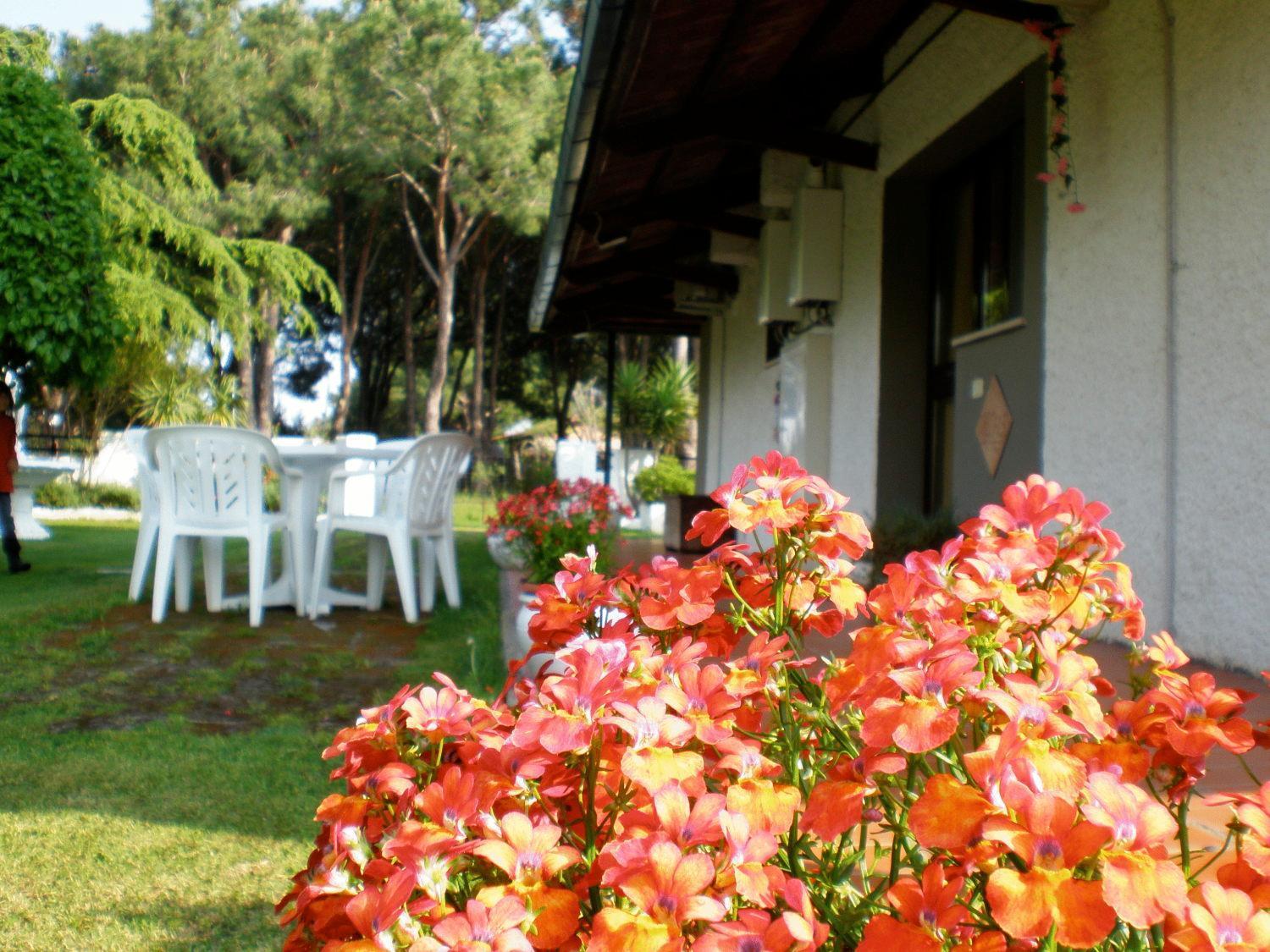 Villa Isabella Marina di Grosseto Buitenkant foto