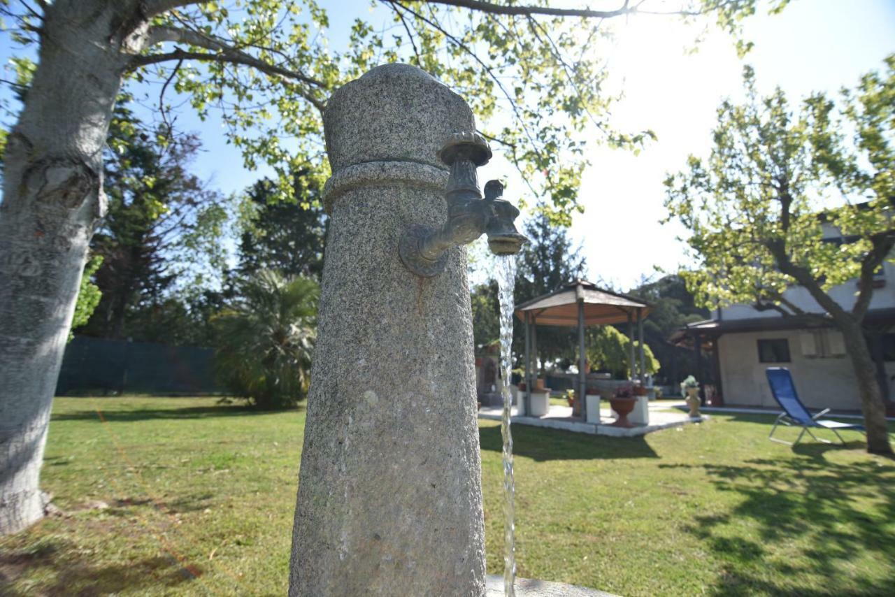 Villa Isabella Marina di Grosseto Buitenkant foto