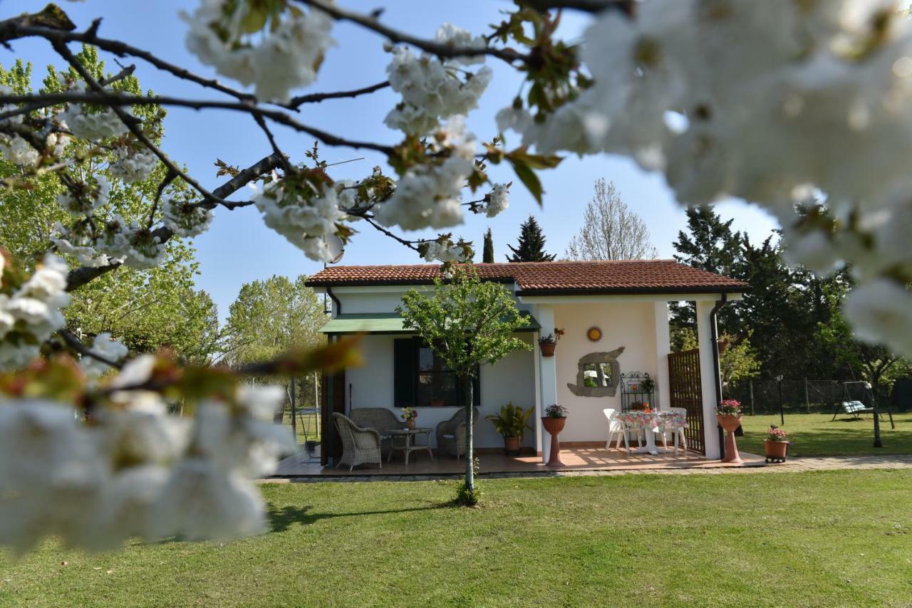 Villa Isabella Marina di Grosseto Buitenkant foto