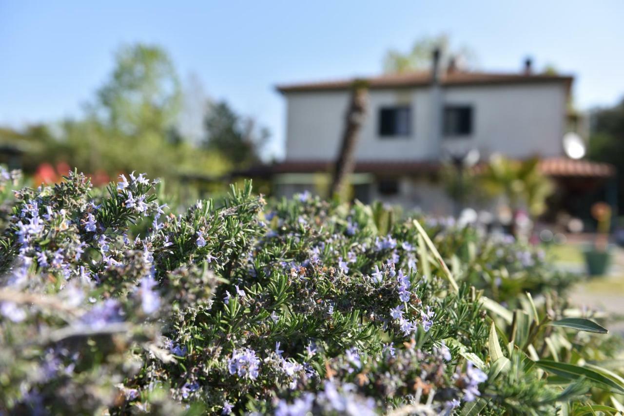 Villa Isabella Marina di Grosseto Buitenkant foto