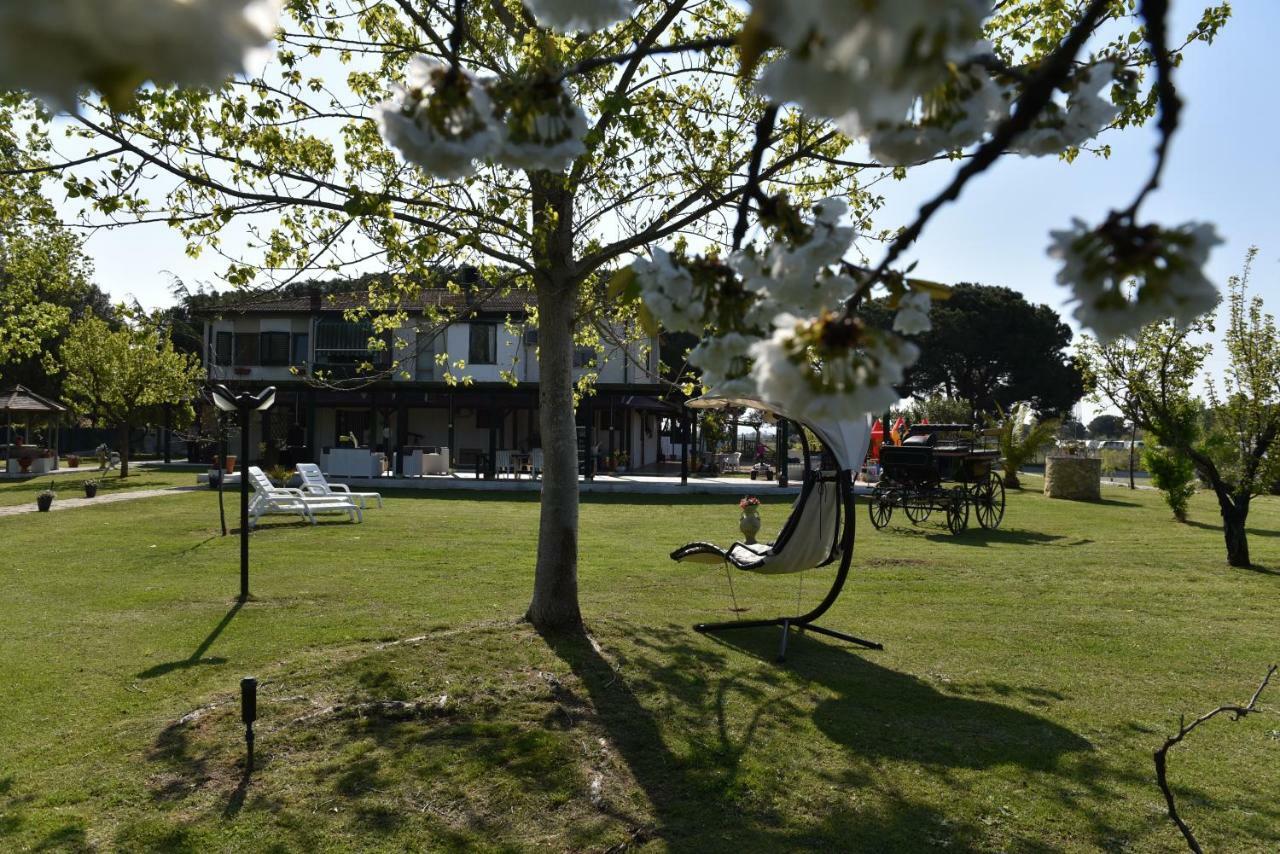 Villa Isabella Marina di Grosseto Buitenkant foto